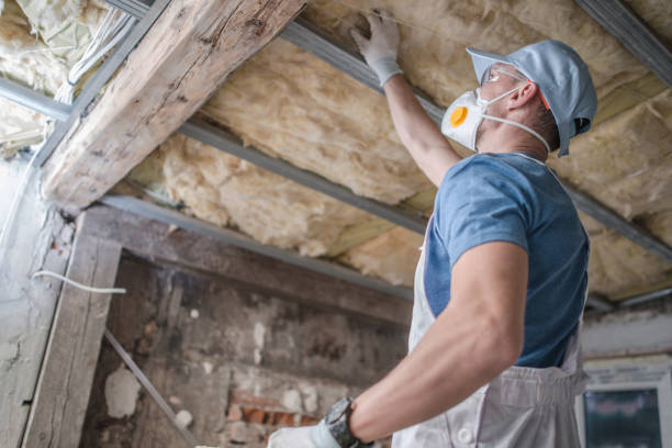 Types of Insulation We Offer in Keyes, CA