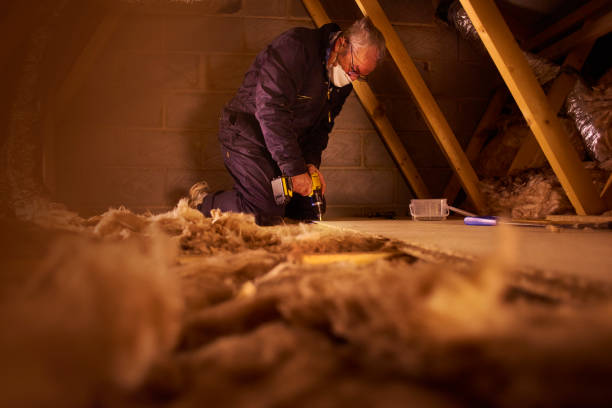 Best Eco-Friendly Insulation in Keyes, CA